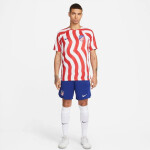 Atletico Madrid pánske tričko DF Stadium Home M DM1838 101 - Nike L