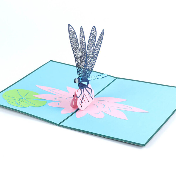 Veselá Stena 3D prianie Vážka