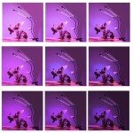 Gardlov 19241 LED Lampička pre pestovanie rastlín 20 LED 2 trubice 20W
