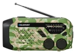 Blaupunkt ER10GC zelené / Rádio (ER10GC)