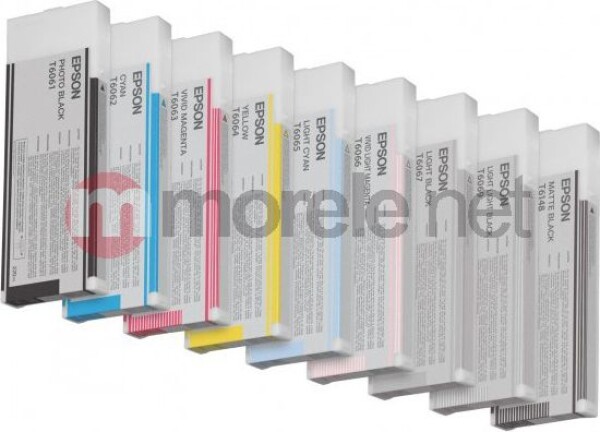 Epson Wkład atramentowy Stylus do 4800/4880 light cyan (220ml) (C13T606500)