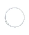 OSRAM LEDVANCE FC FS1 žiarivka kruhová / 55W / 6500 K (O0528564)