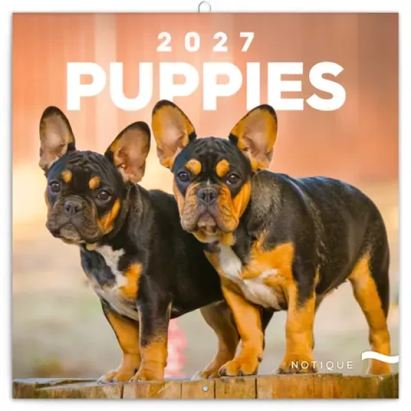 NOTIQUE Poznámkový kalendář Štěňata 2027, 30 x 30 cm (PGP-36320-V)