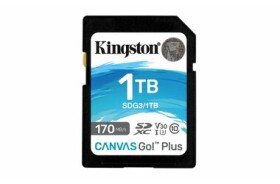 Kingston 1TB