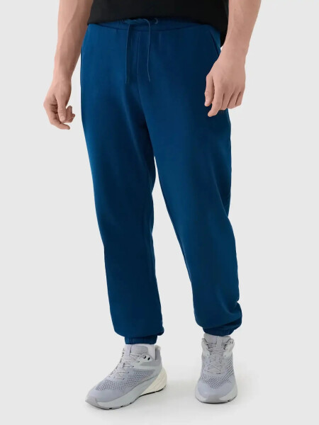 Pánske tepláky 4F L