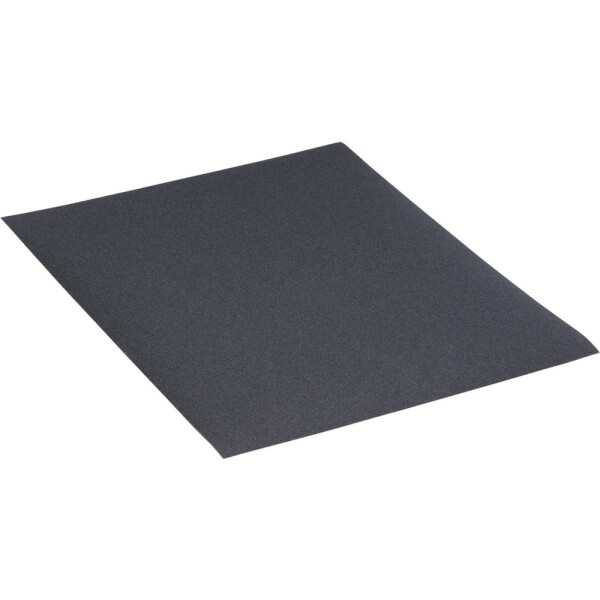 Rhodius WSP 301009 brúsny papier Zrnitosť 220 (š x v x h) 230 x 1 x 280 mm 50 ks; 301009