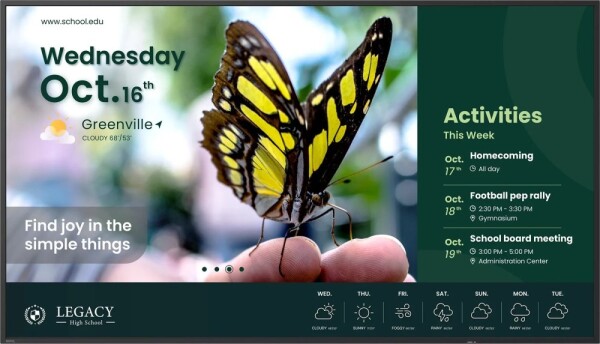 BenQ ST5504 55IN 1397CM LFD LED