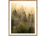 Rámovaný obraz Ráno v lese 40x50 cm, dub artisan%