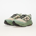 Tenisky New Balance Fresh Foam X Hierro v9 Gore-Tex Mosaic Green EUR 45