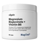Vilgain Horčík bisglycinát + B6 – 90 kapsúl