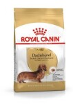 Royal Canin Dog Adult Dachshund