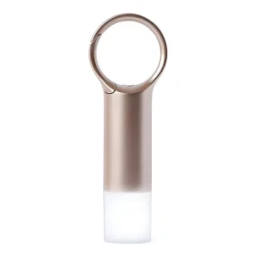 Lexon Nomaday Flash LL137D zlatá / LED kľúčenka / IPX4 / USB-C (LL137D)