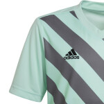 Entrada 22 Graphic Jersey Adidas cm