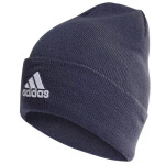 Čiapka adidas Logo Woolie HL HL4809