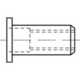 TOOLCRAFT TO-5380458 slepá nitovacie matice M8 nerezová ocel 100 ks; TO-5380458