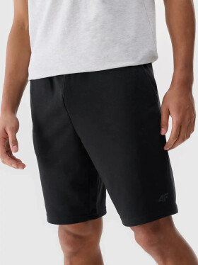 Pánske šortky 4F XXL