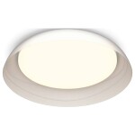 Philips 8720169300972 Fleta LED stropné svietidlo LED 10 W priehľadná; 8720169300972