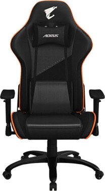 Gigabyte AORUS (AGC310)