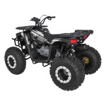 Mamido Detská benzínová štvorkolka RamiGO MONSTER 200CC čierno-biela