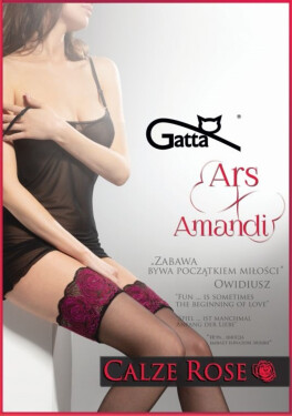 Samodržící dámské punčochy model 16159750 ROSE 20 DEN - Gatta nero-rosso 5-6