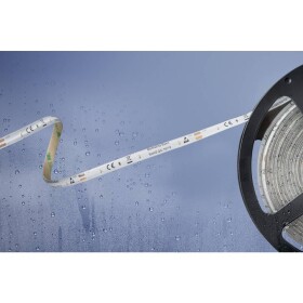 Barthelme Basic 51540428 51540428 LED pásik voľný koniec 12 V 5 m teplá biela; 51540428