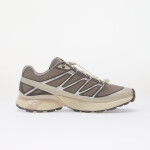Tenisky Salomon XT-Pathway 2 Gull/ Ftw Silver/ Lilaca EUR 40