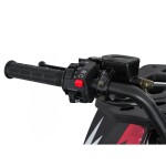 Mamido Detská benzínová štvorkolka RamiGO MONSTER 200CC čierno-červená