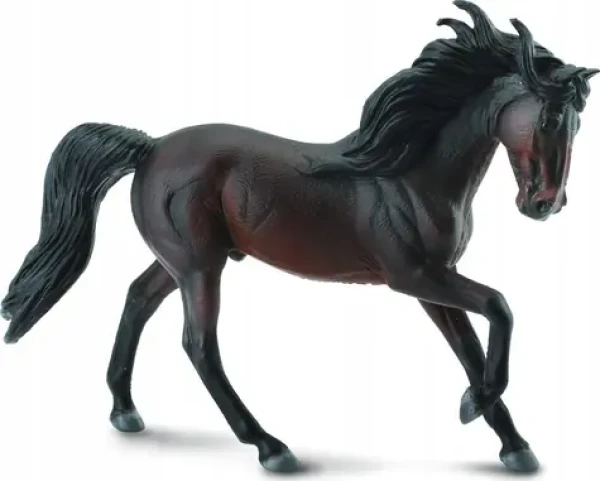 COLLECTA Žrebec andalúzsky - Bay