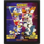 Pyramid International Sonic 3D obraz Select your Fighter