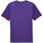 Puma teamGoal Matchday Jersey M 705747 10 muži M