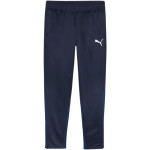 Puma Team Goal Training M nohavice 658639 06 L