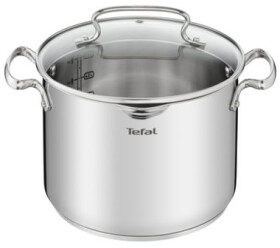 Tefal Duetto+ G7197955 Hrniec s pokrievkou 22 cm / 6.1 l / nerez (G7197955)