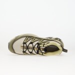 Tenisky Salomon XT-6 Expanse Almilk/ Olvnig/ Dusty EUR 40 2/3