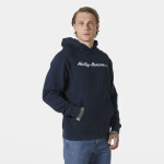 Helly Hansen Core Graphic Sweat Hoodie M 53924 596 L
