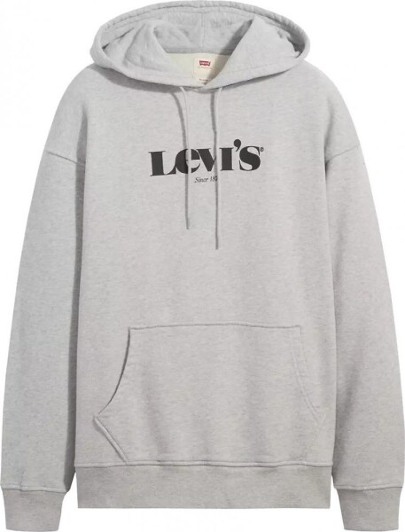 Levi's Relaxed Graphic Hoodie 38479-0040