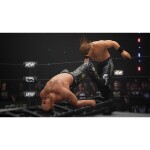 Plaion Gra Xbox One/Xbox Series X AEW: Fight Forever