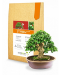 Symbiom mykorhízne huby Symbivit Bonsai 150 g