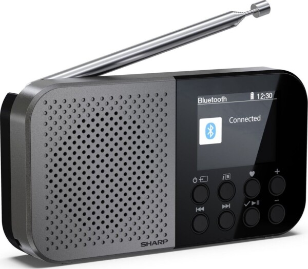 Sharp Sharp DR-P520 DAB+/BT/USB C/integrated Battery radio black