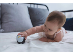 PlanToys PlanToys Tučniak