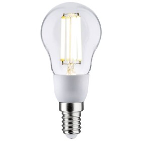 Paulmann 29130 LED En.trieda 2021 A (A - G) E14 2.5 W teplá biela (Ø x v) 45 mm x 100 mm 1 ks; 29130