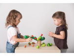 PlanToys PlanToys Balansujúci kaktus