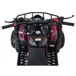 Mamido Detská benzínová štvorkolka RamiGO WILDPEAK 110CC čierno-červená