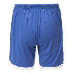 Pánske šortky DENTRA SHORTS SENIOR L