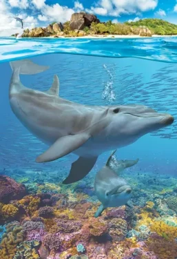 EUROGRAPHICS Puzzle Save Our Planet: Delfíny XL