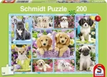 Schmidt Puzzle Šteniatka