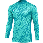 Nike Gardien V Goalkeeper DF V M FD7474-354 M