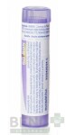 CHELIDONIUM MAJUS CH2-CH30 granule 4 g