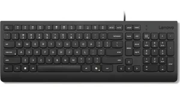 Lenovo Essential čierna / Drôtová klávesnica / CZ/SK layout / 1x USB-A (4Y41R64684)