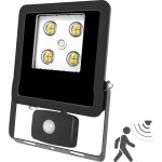 EVN EVN Lichttechnik LFE100940BM LED svetlomety 10 W neutrálna biela; LFE100940BM