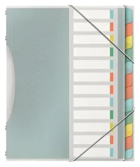 Esselte Colour'Ice mix farieb / Triediace dosky / 12 listov / PP (626256)